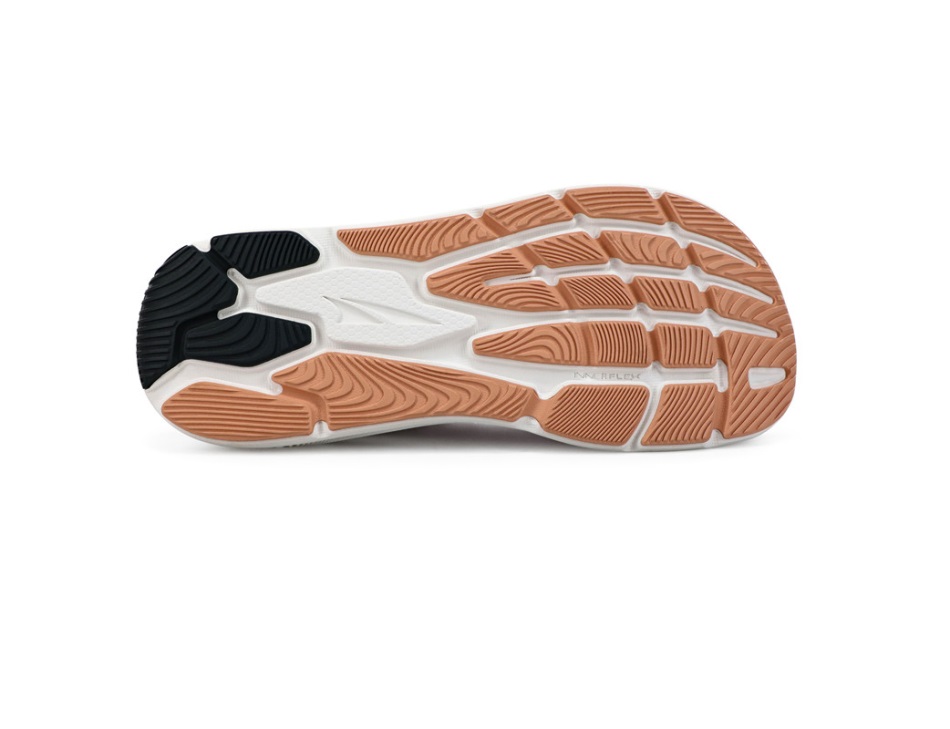 Altrarun Paradigm 6 Woman Mountain Purple